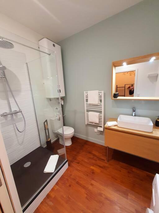 T2 Calme Vieux Tours Basilique Apartment Luaran gambar