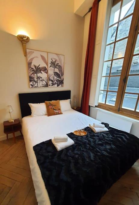 T2 Calme Vieux Tours Basilique Apartment Luaran gambar